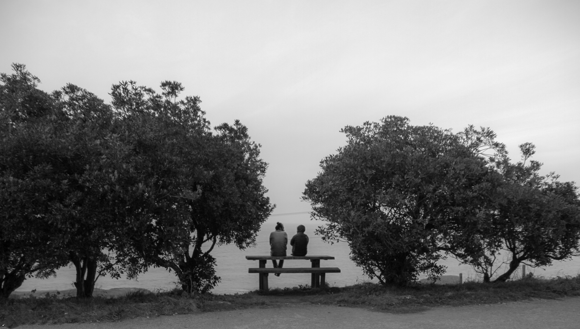 MIRANDO AL MAR 