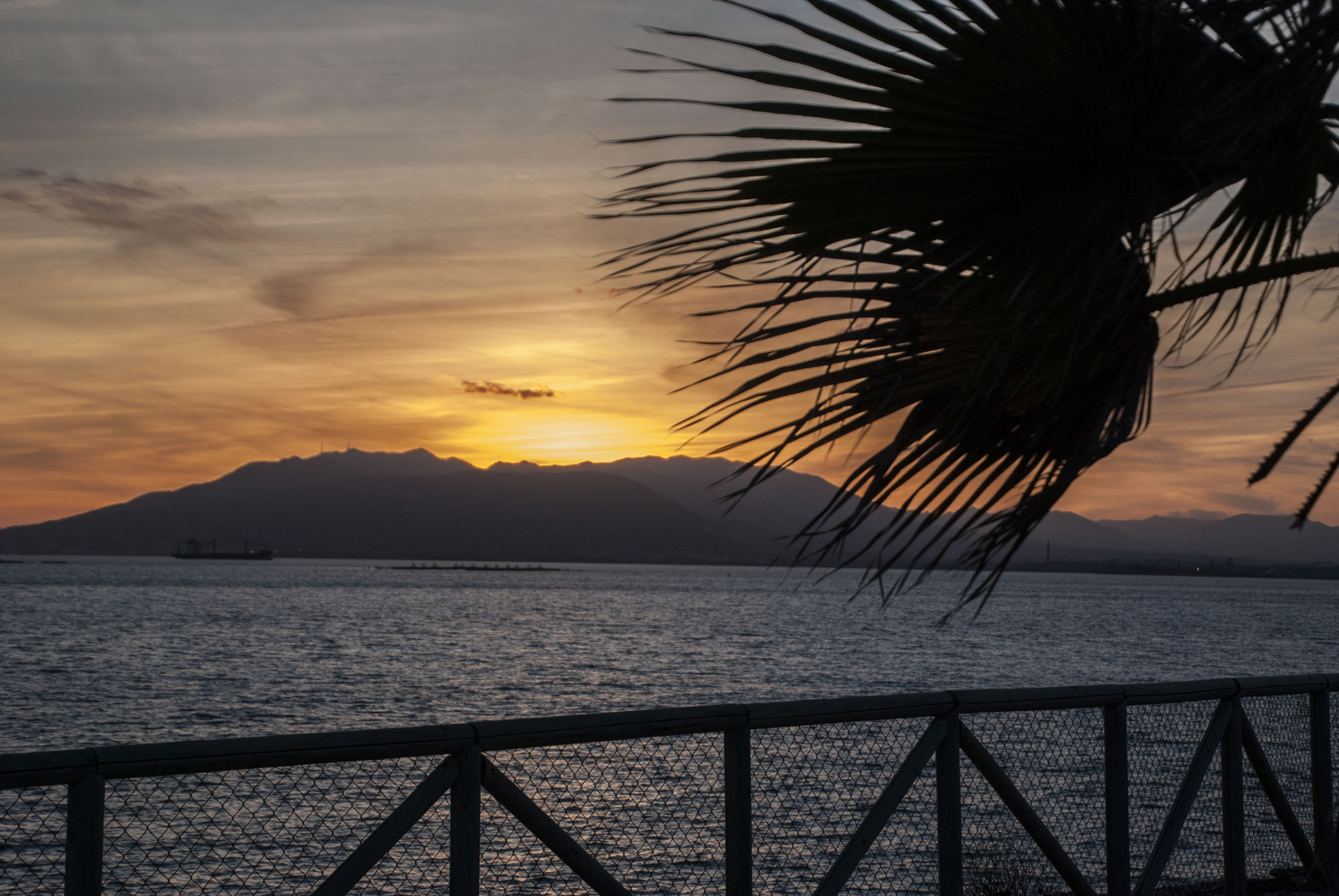 MIRANDO AL MAR