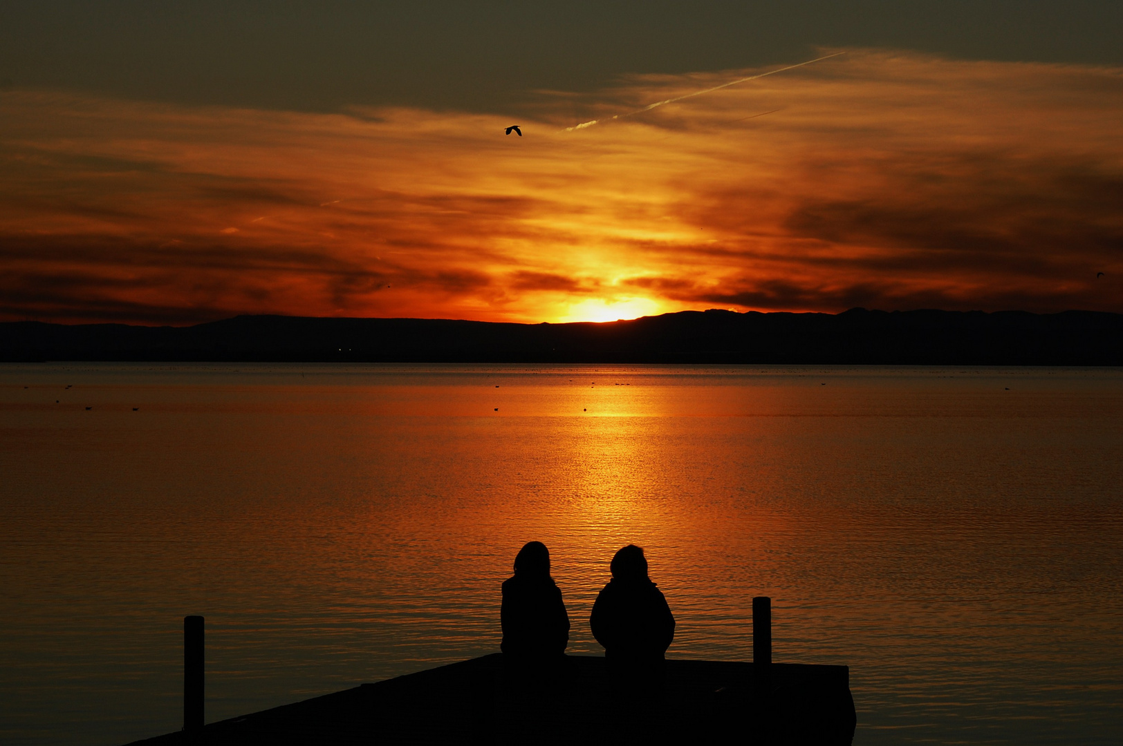 mirando el sol