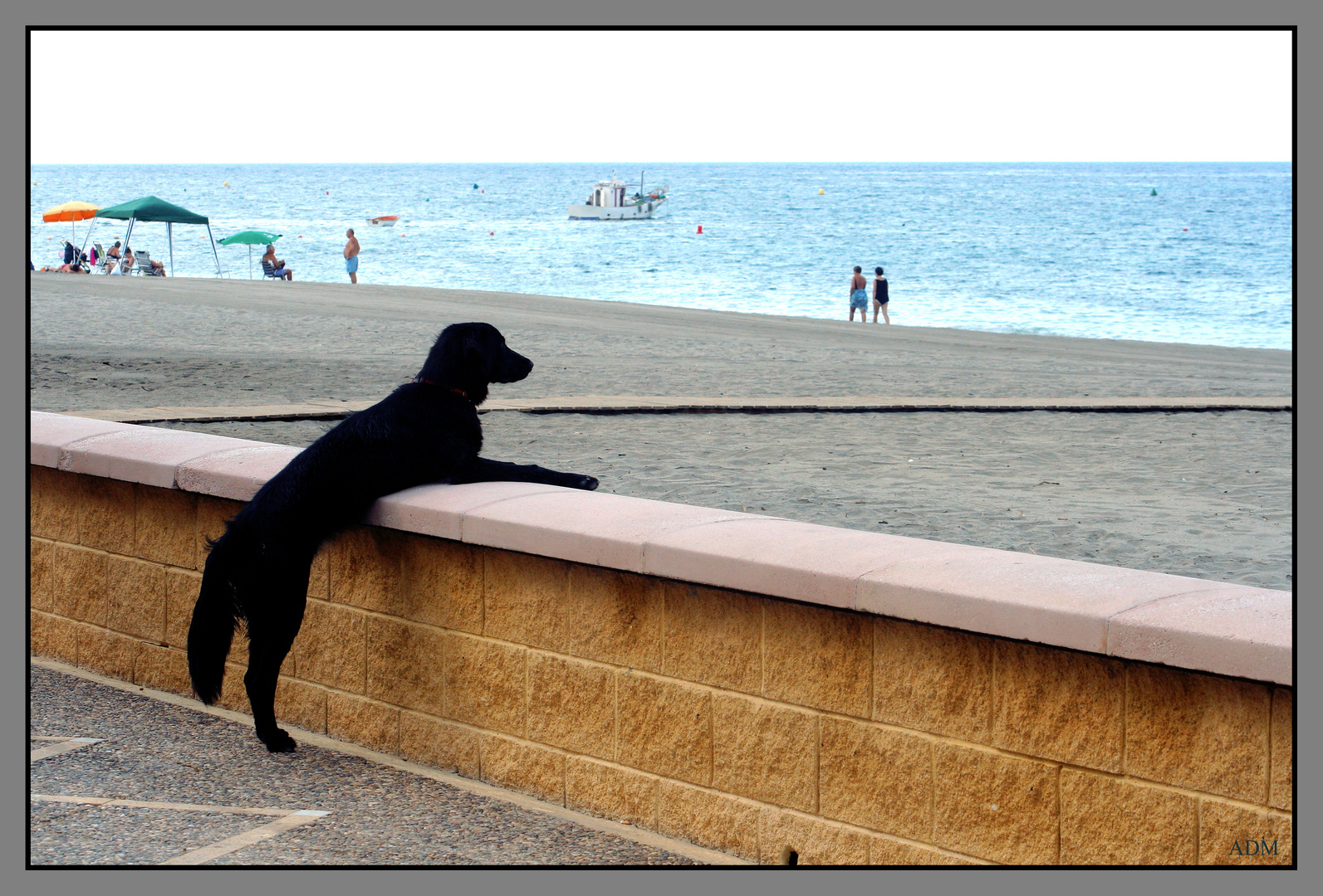 Mirando la playa