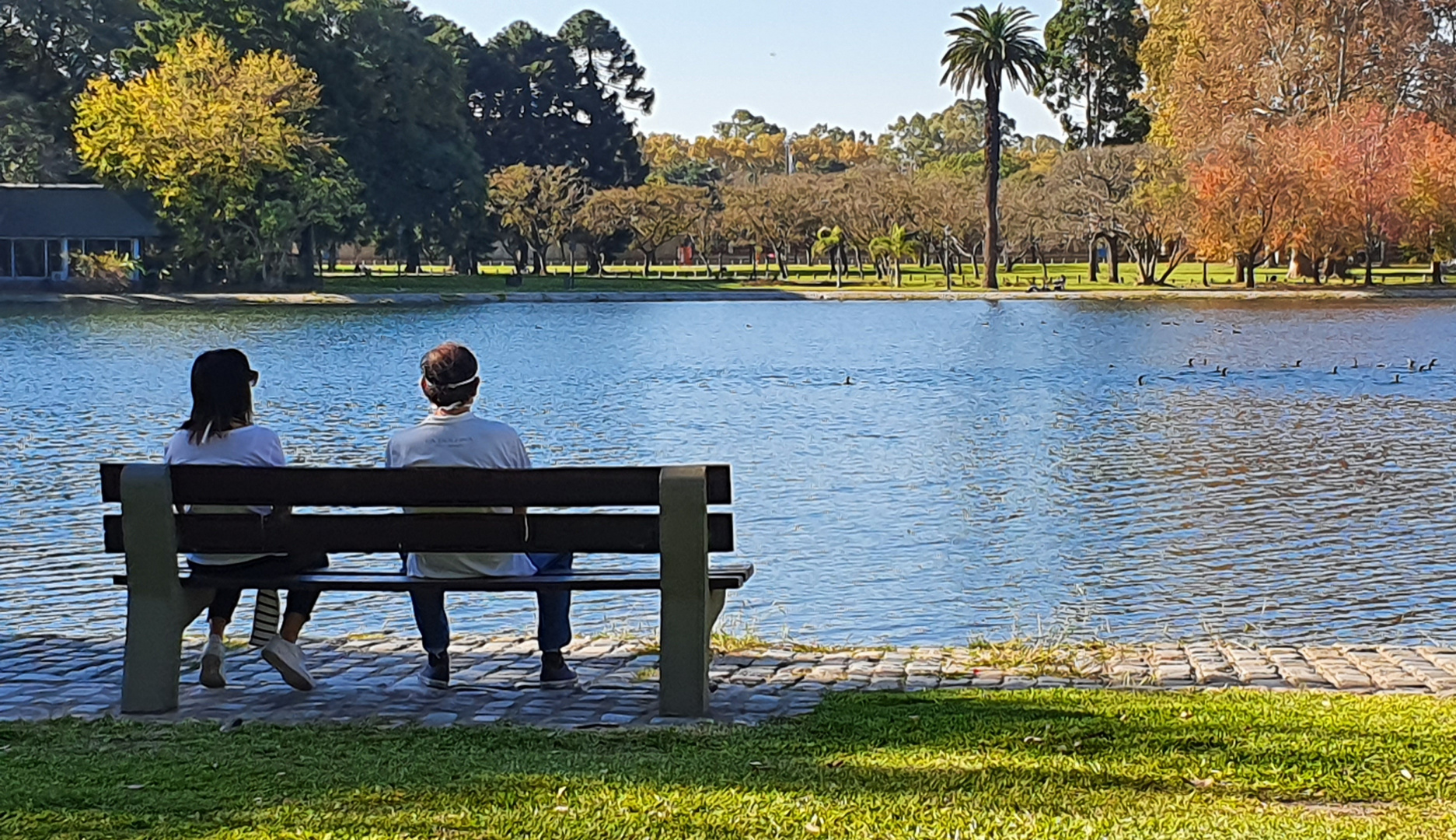 MIRANDO LOS PATOS ....