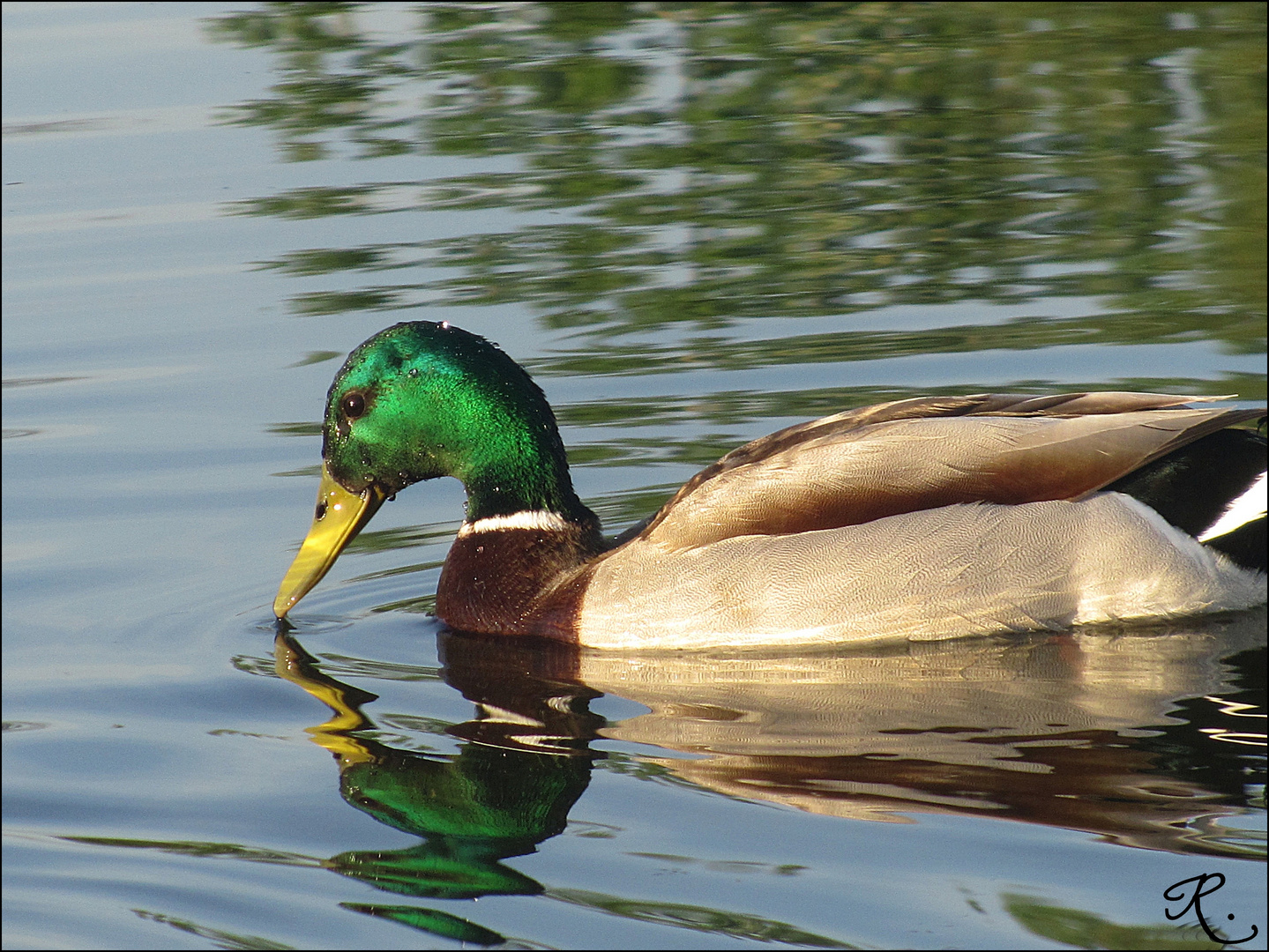 mirando su reflejo.