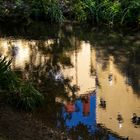 Mirándose en las aguas del Sarela