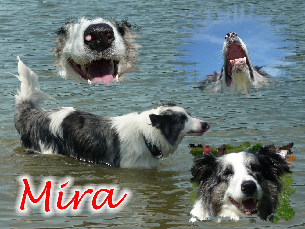 Mira´s Collage