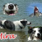 Mira´s Collage