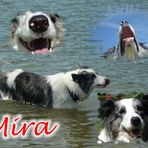 Mira´s Collage