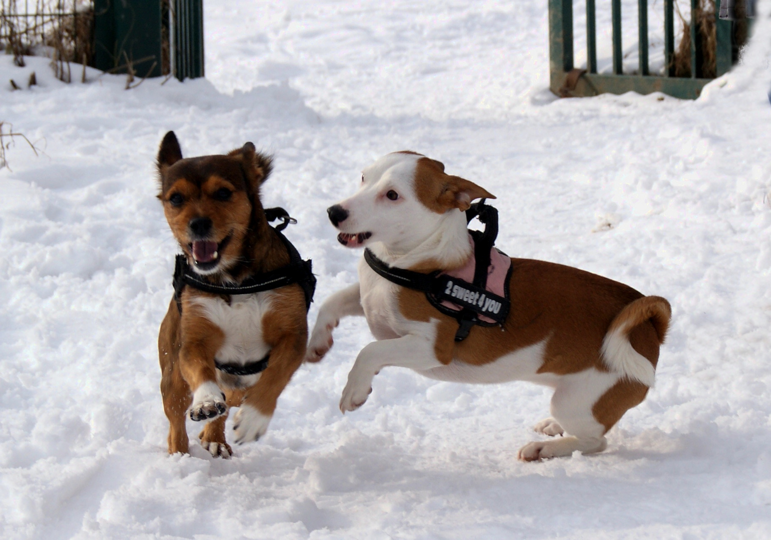 Miray und Luca im Schnee