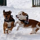 Miray und Luca im Schnee