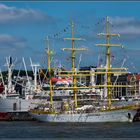 MIRCEA Schwesterschiff der GORCH FOCK in Hamburg ...