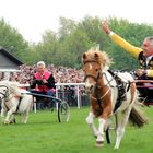 Mirko Slomka als strahlender Sieger