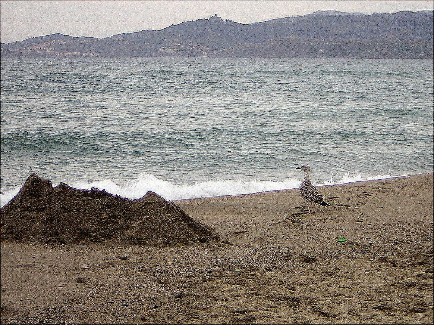 MIRÁNDO AL MAR...