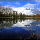 Miroir Bleuâtre