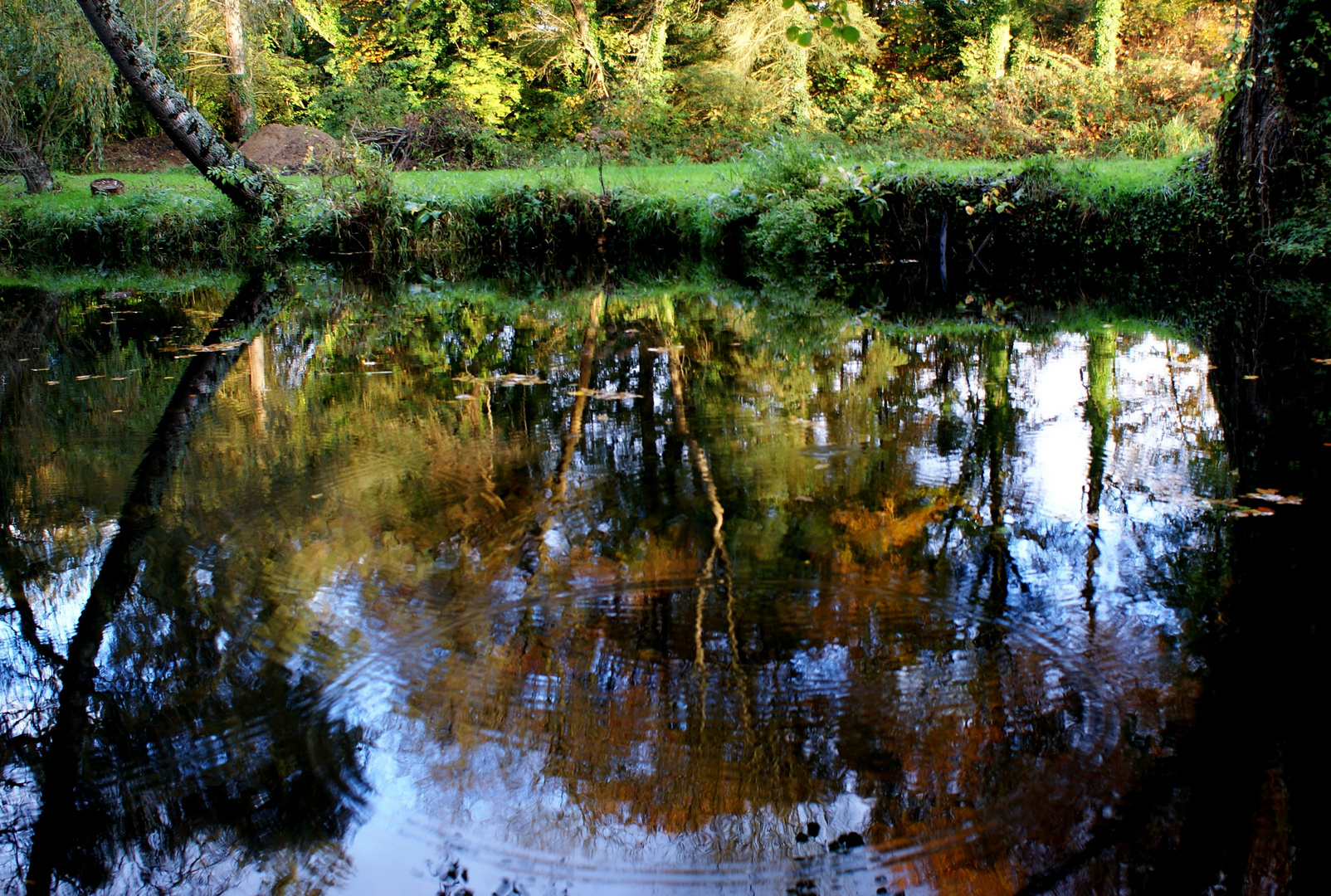 MIROIR COLORE