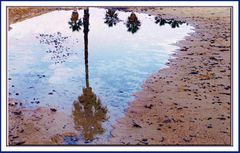 miroir d eau de mer