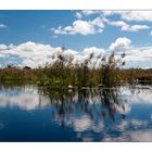 Miroir dans le delta