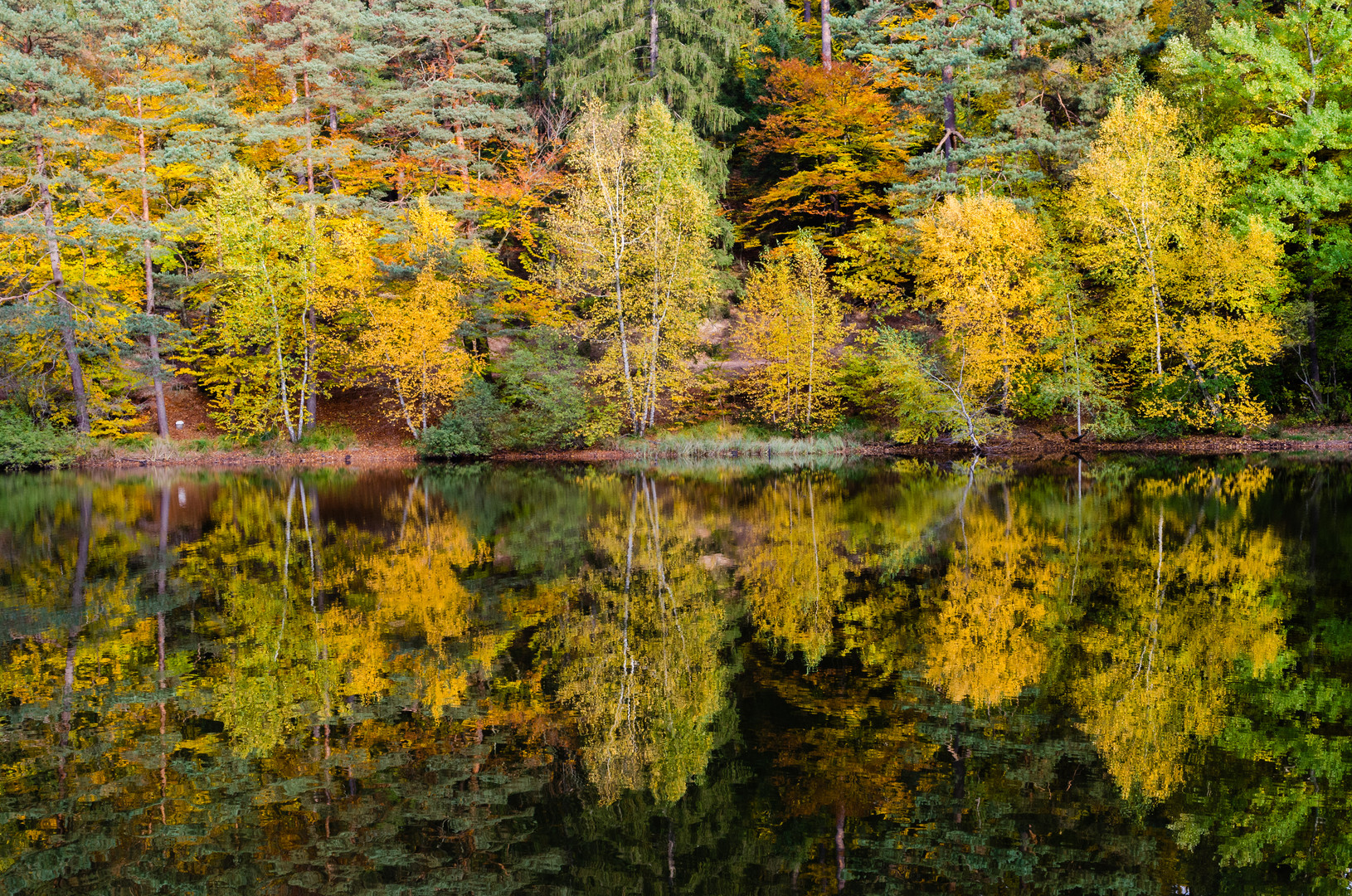 miroir d'automne