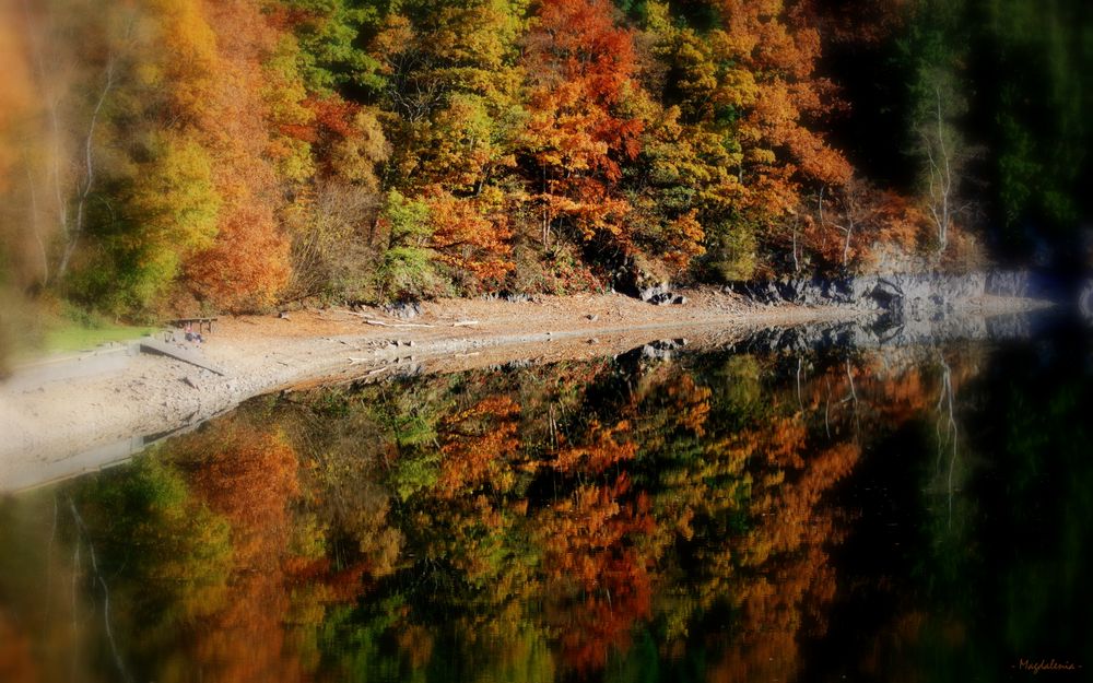 Miroir d'automne