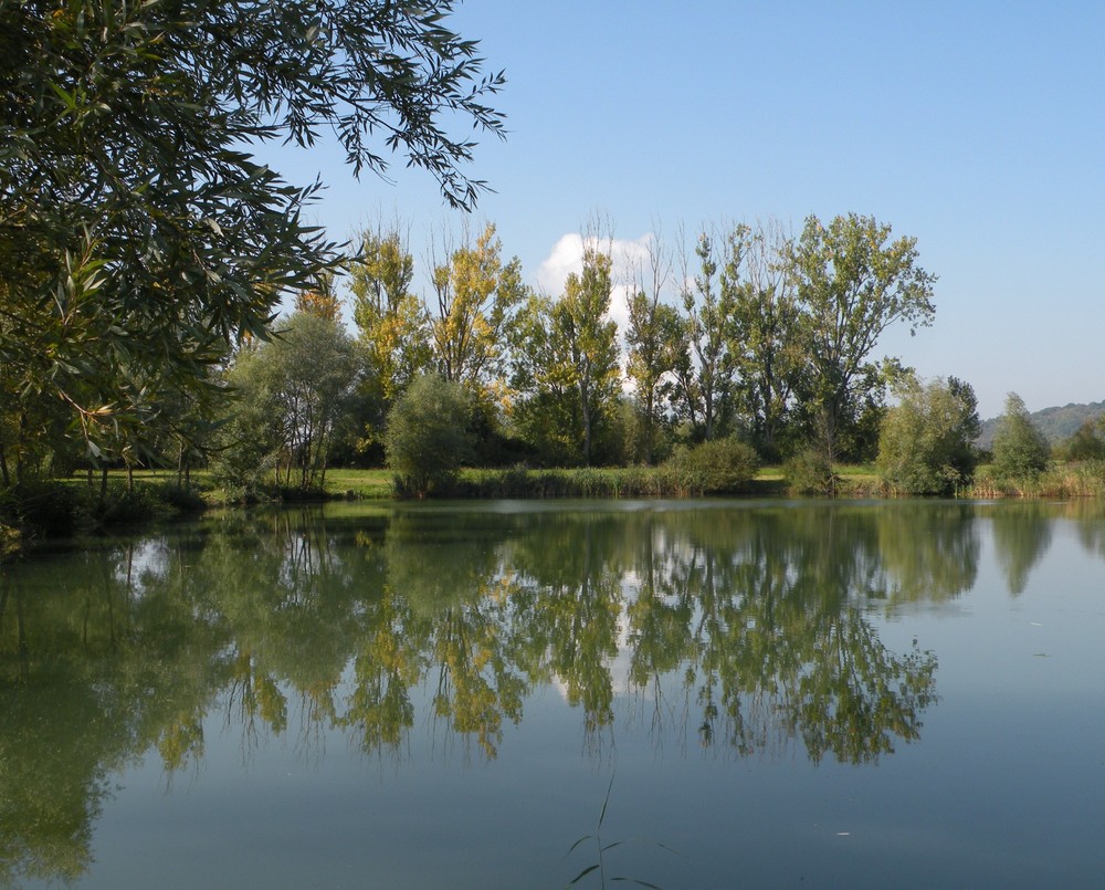 Miroir d'automne.