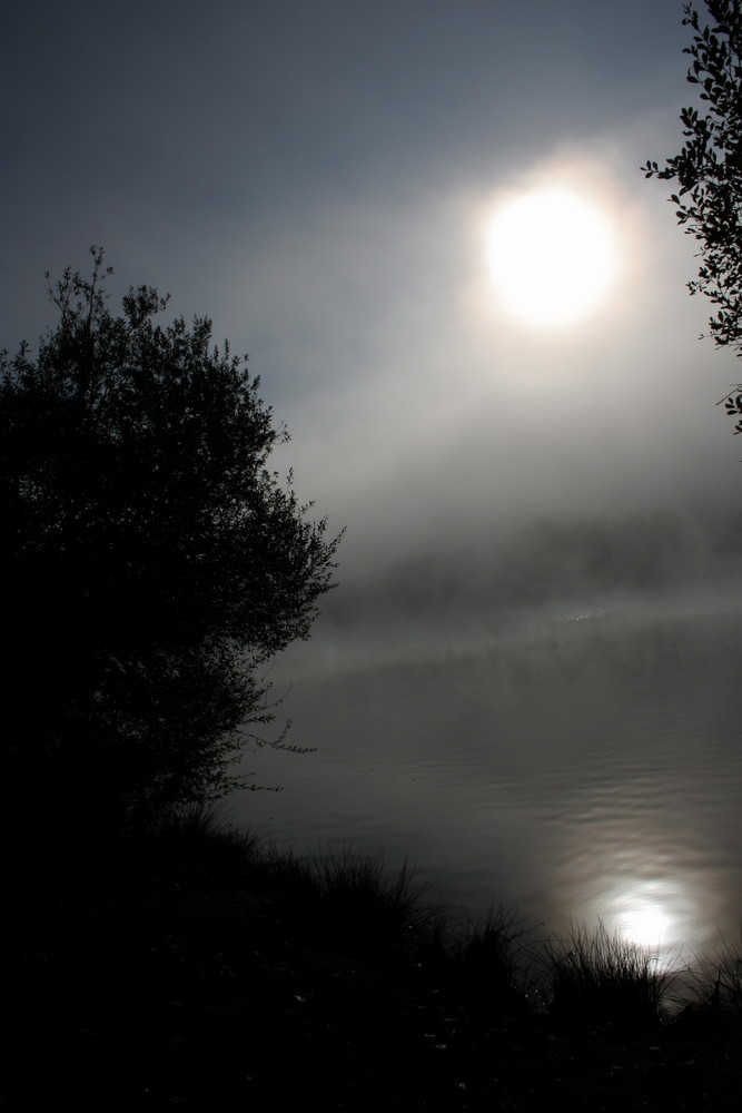 Miroir de brume