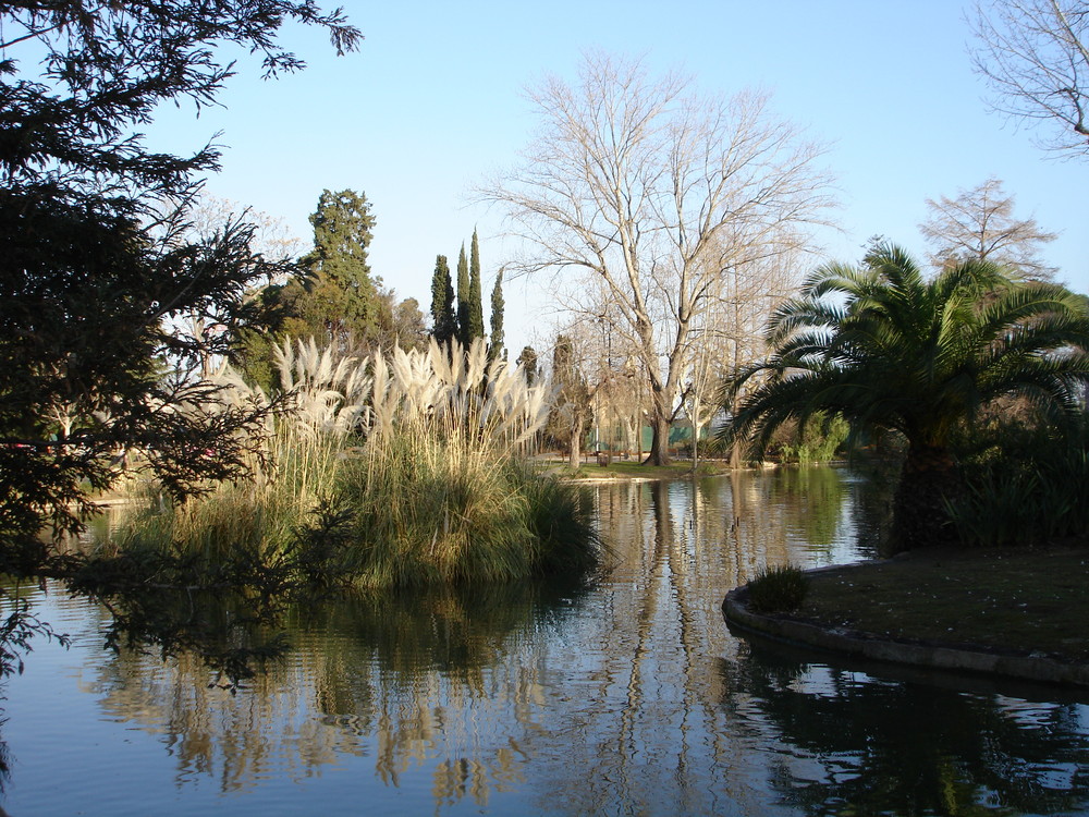 miroir de l onde