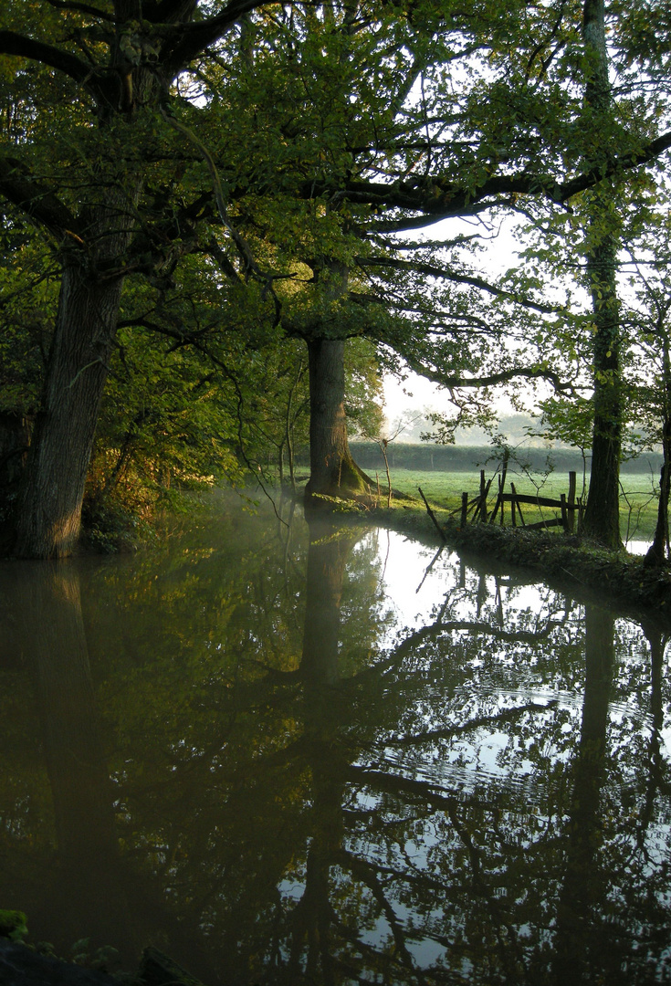 Miroir de l'eau