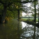 Miroir de l'eau