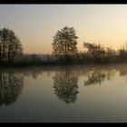 MIROIR DE MARNE