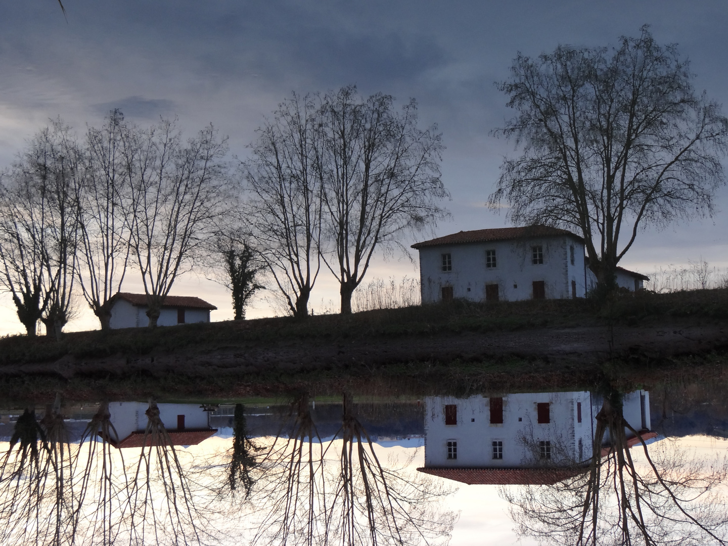 Miroir ! Mon Beau Miroir !