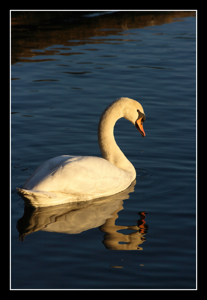 Miroir, mon beau miroir