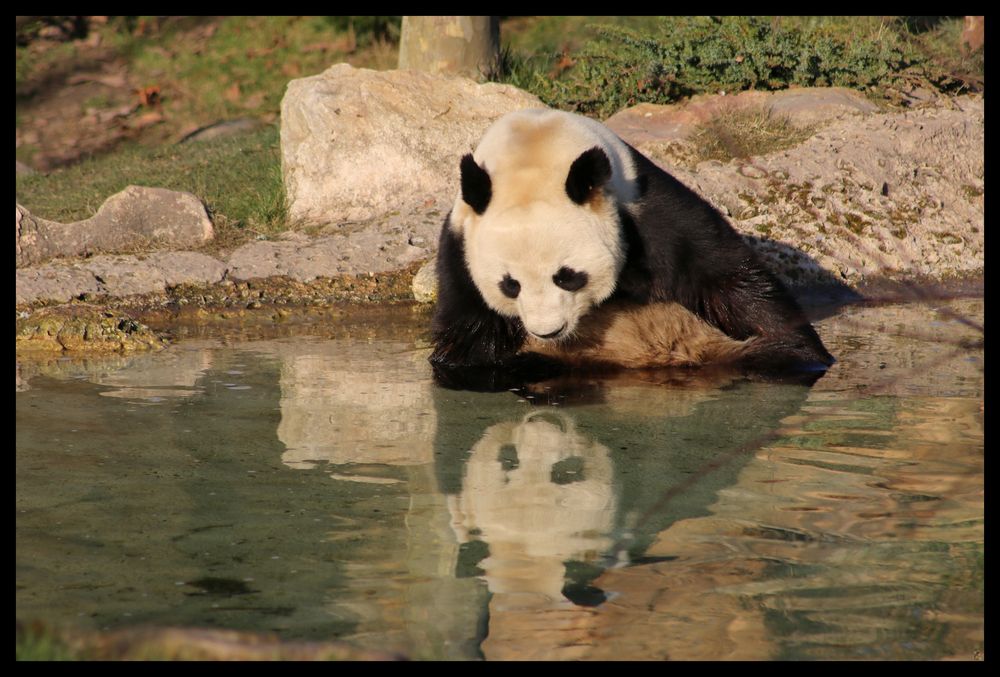 Miroir, mon beau miroir...