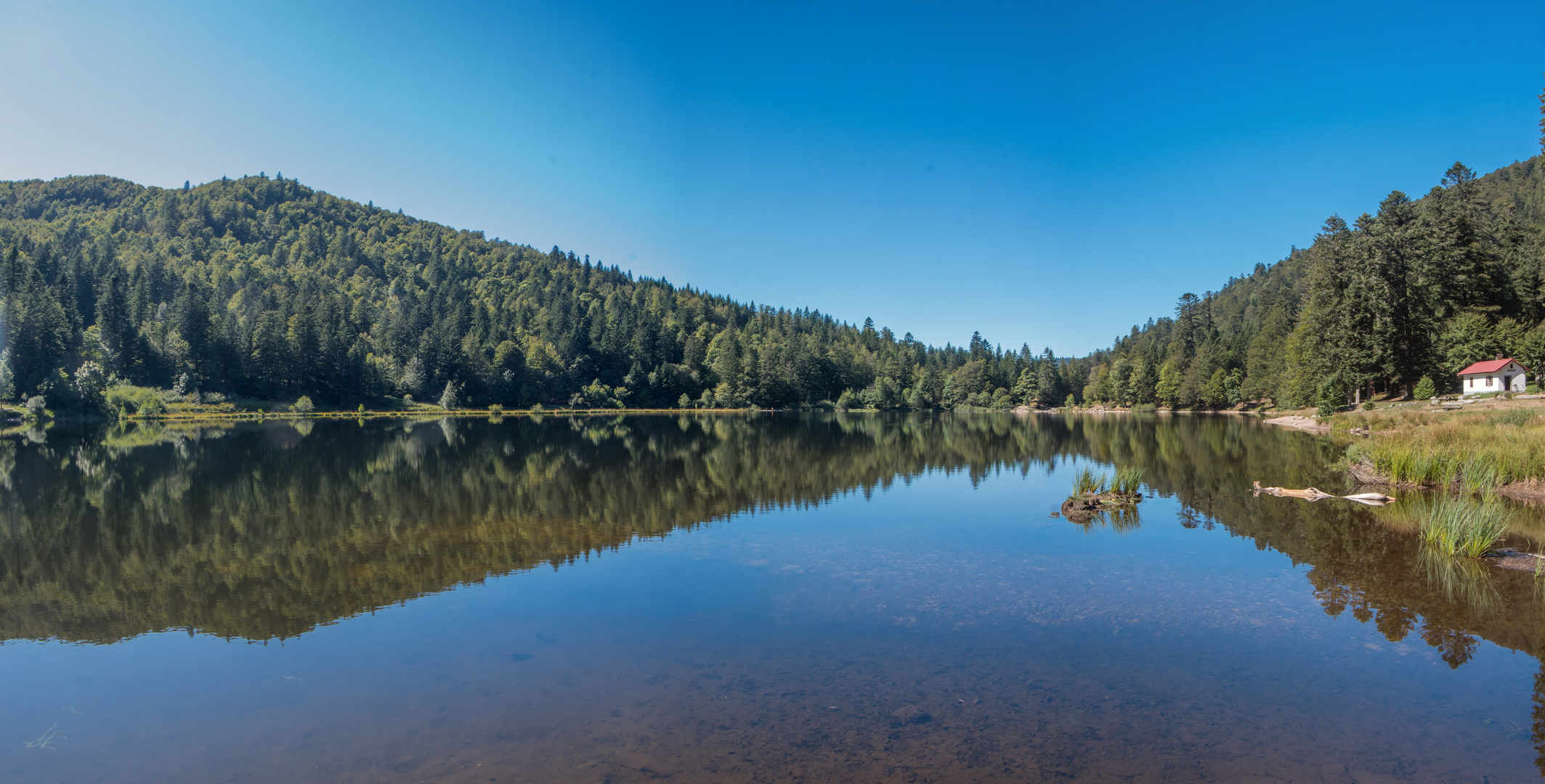 Miroir naturel