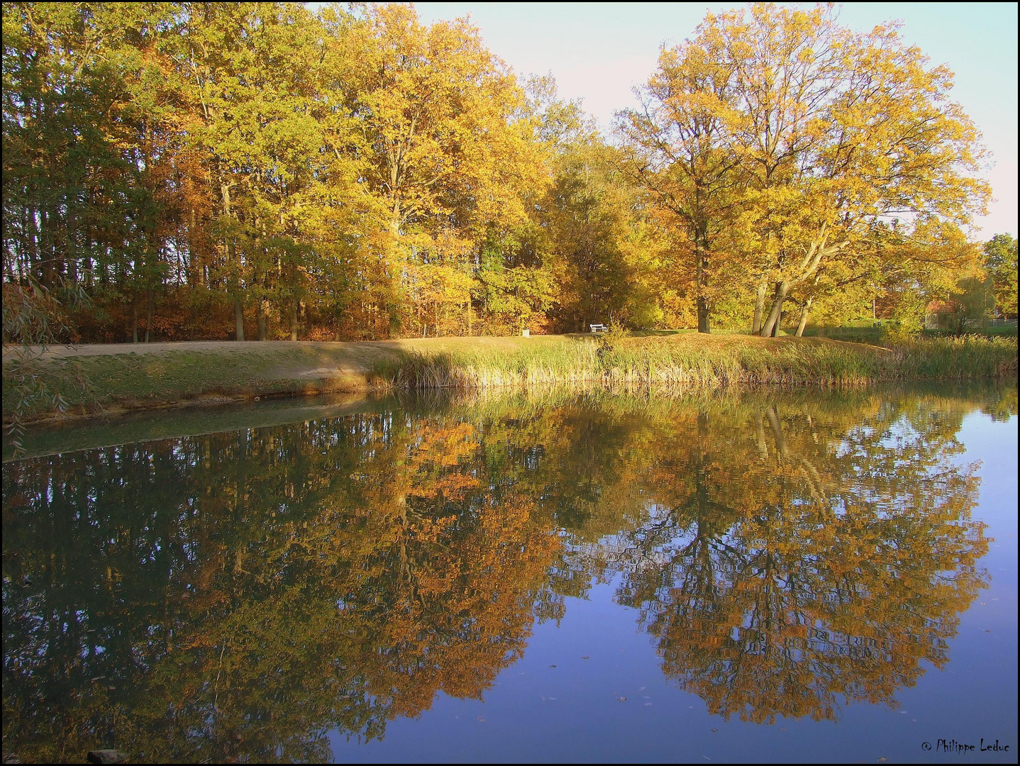 Miroir naturel