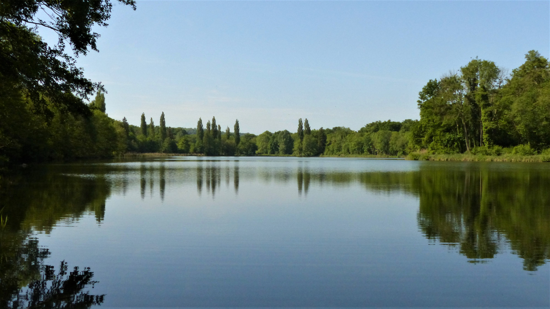 Miroir naturel