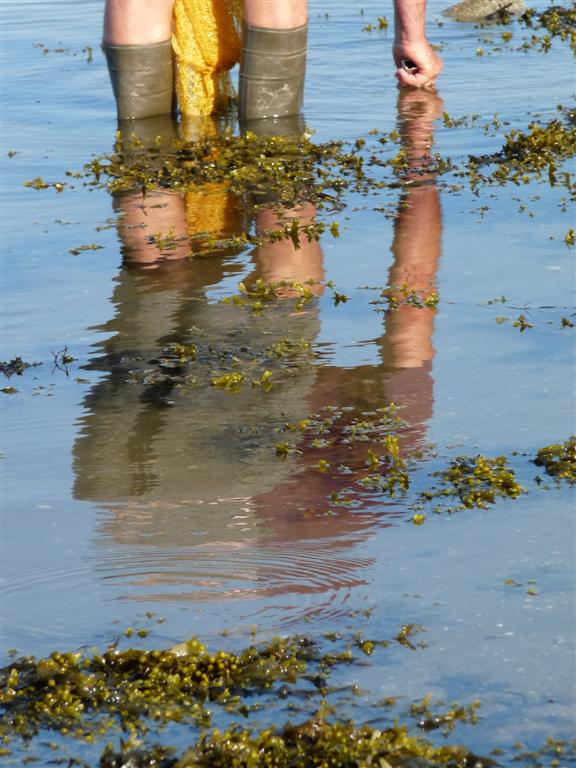 Miroir ne voit tu rien venir ?