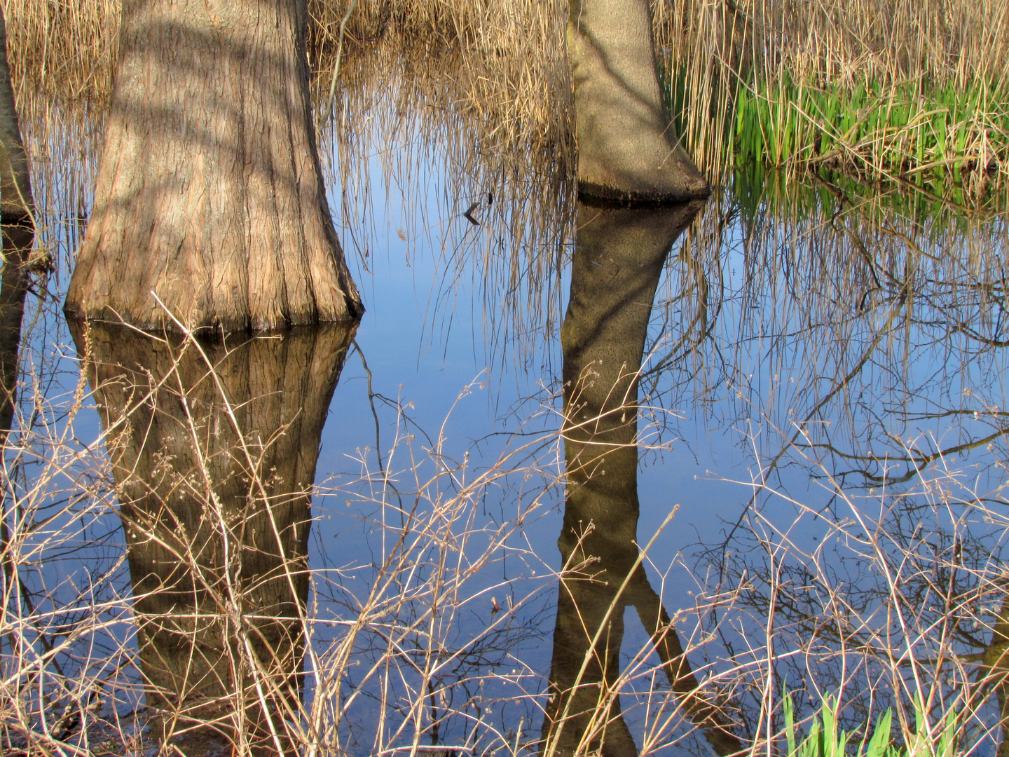 Miroir - Spiegel