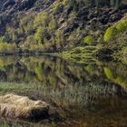 Miroir sur l'étang de Lers