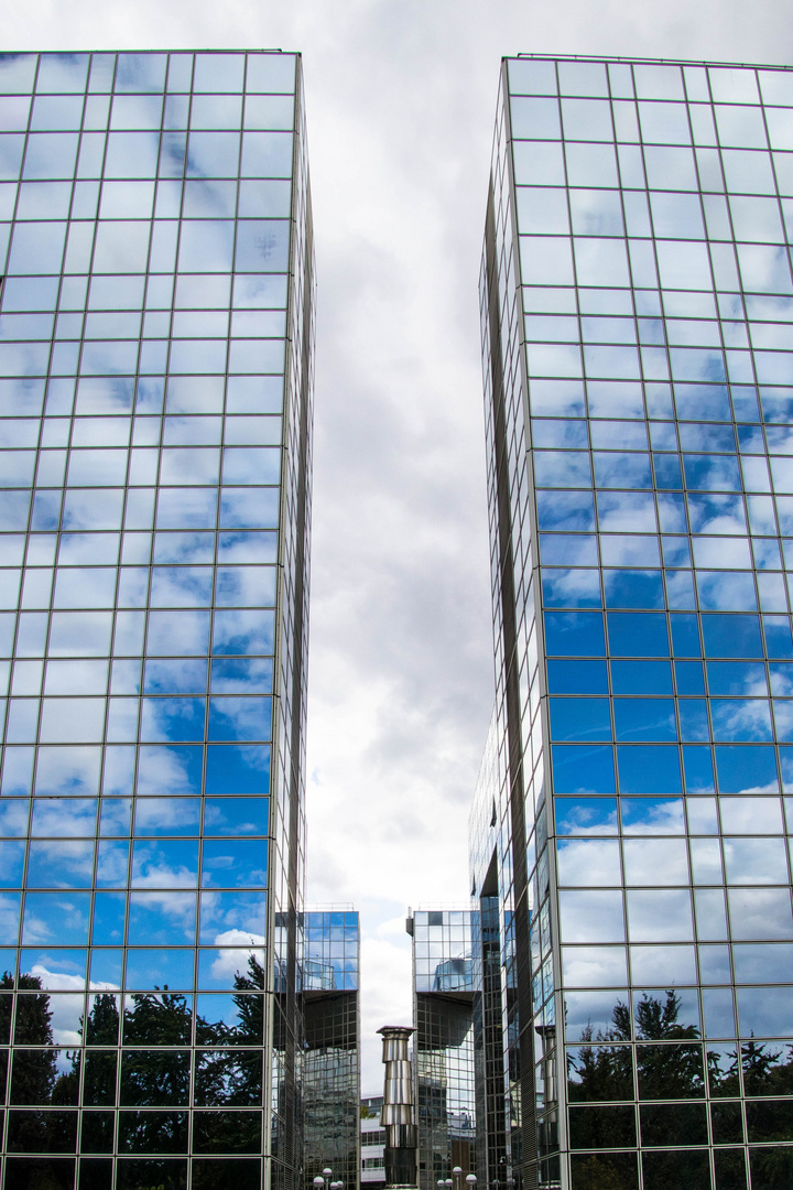 Miroirs bleus