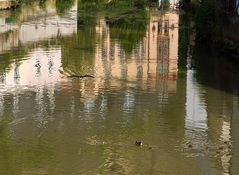 Miroirs de l'Alzette