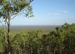 Mirray Lookout, I