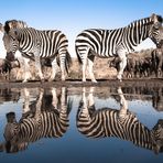 Mirror Image 