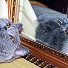 mirror image