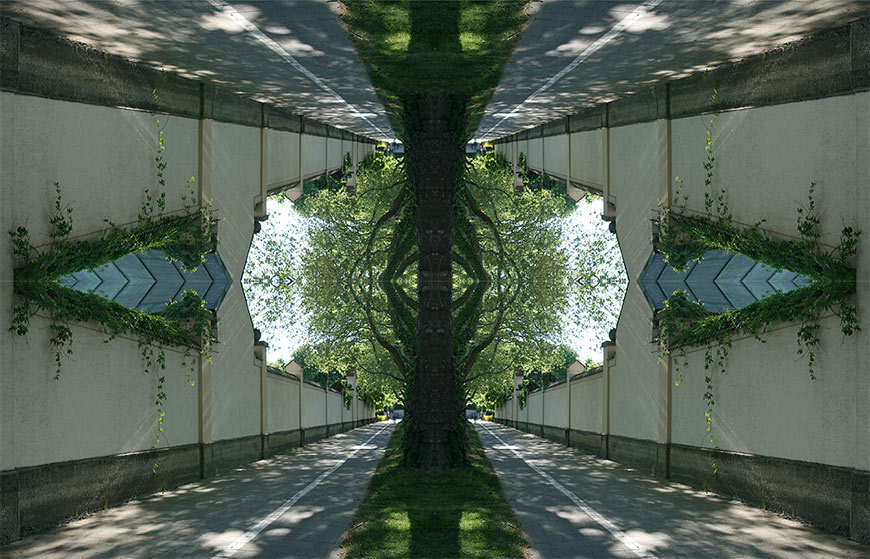 Mirror Image (New)