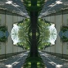 Mirror Image (New)