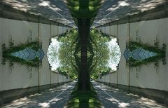 Mirror Image (New)