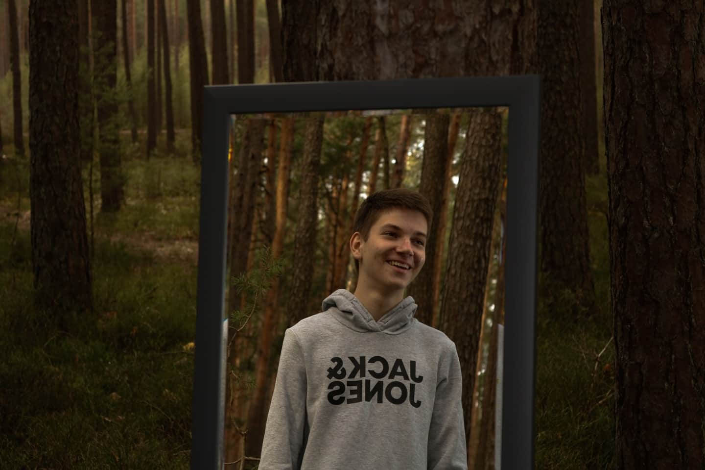 Mirror in the forest