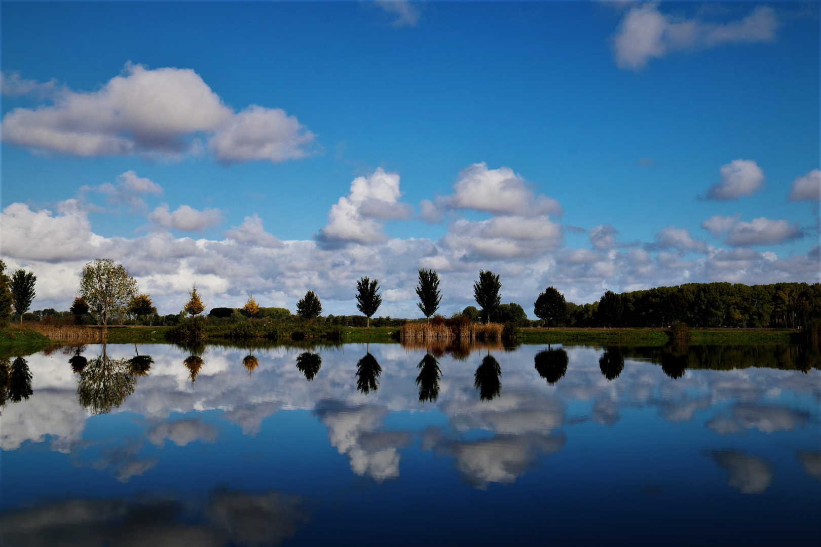 Mirror in the see