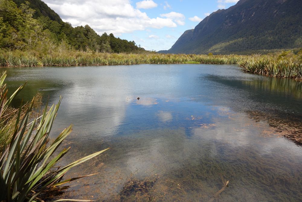 Mirror Lake