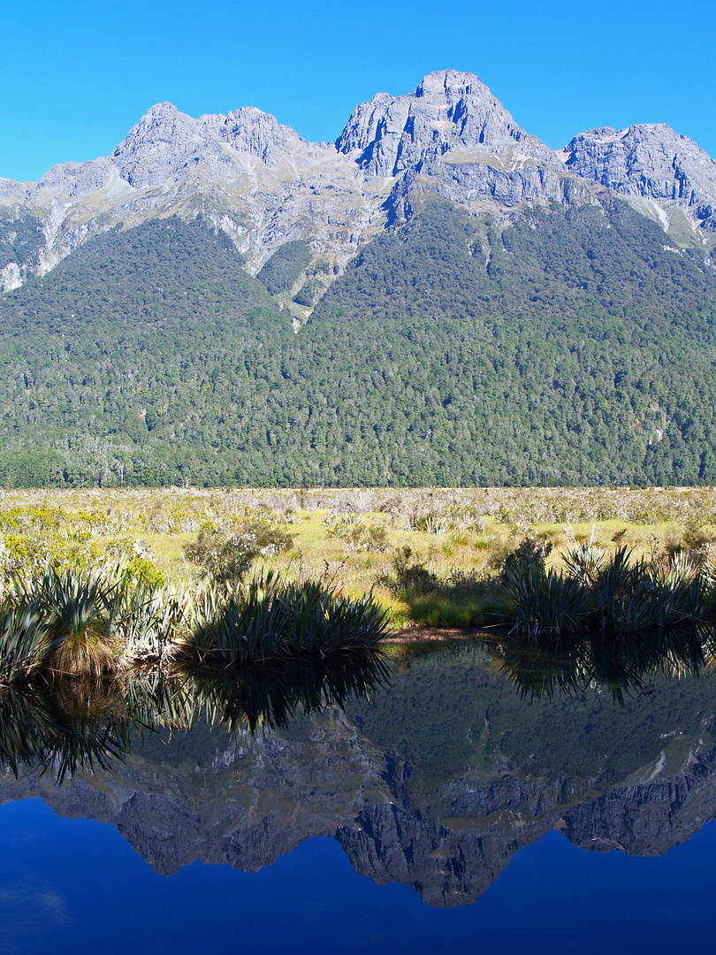 Mirror Lake