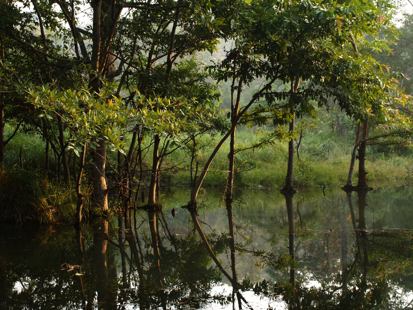 mirror lake