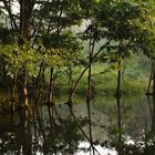 mirror lake